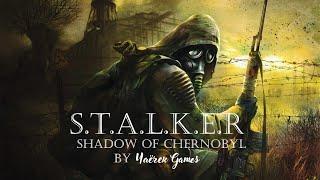 STALKER Тень Чернобыля №6 - ДИКАЯ ТЕРРИТОРИЯ И ЯНТАРЬ