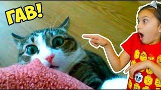 ВСЕ СМЕШНЫЕ КОТЫ! СБОРНИК! ЛУЧШИЙ НЕ ЗАСМЕЙСЯ ЧЕЛЛЕНДЖ! Funny Cats Попробуй не засмеяться Валеришка