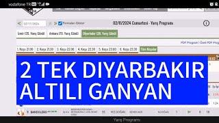 2 Kasım 2024 Cumartesi Diyarbakır at yarışı tahminleri Diyarbakır altılı ganyan tahminleri | Oğulcan