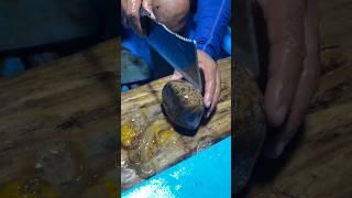 Is This a Sea Cucumber or an Alien?! maybe a stone?