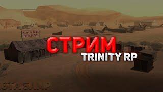 СПАСАЮ ЛЮДЕЙ В GTA SAMP на TRINITY RP №1 #trinity #samp #gta #police #rp