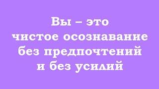 Вы – это чистое осознавание без предпочтений и без усилий