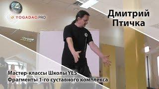 Школа YES (фрагменты) - 1й суставной комплекс (Дмитрий Птичка)