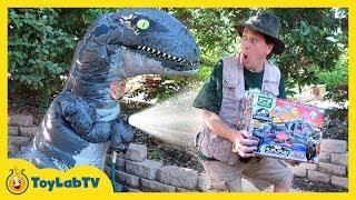 Giant Life Size Raptor Blue Dinosaur from Jurassic World Fallen Kingdom & Tomy Dinosaurs Toy Playset