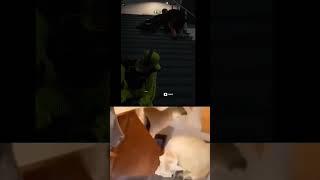 Идея взята у GenP  #best #top #popular #hitman3 #hitman