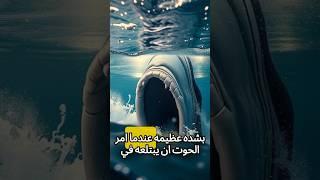 لماذا امر الله الحوت بابتلاع سيدنا يونس  #history #تاريخ #ترند #معلومات #اكسبلور