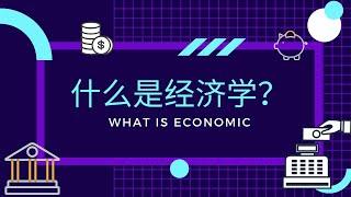 【经济学课程】 第一课 || 什么是经济学?