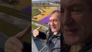 Трамп поговорил с Путиным. Доллар упал [18+]