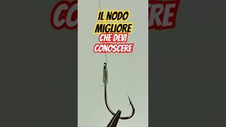 Nodo occhiello per amo #migliore #pesca #shorts #fishing #nodo #reelfishing #nodi #pescare