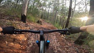 "Flying Cloud" Daisy Hill MTB Trail on Sunset - Brisbane Mountain Biking Daisy Hill Koala Reserve