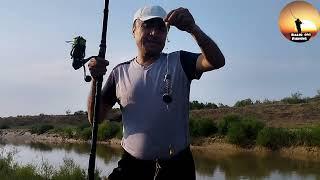 Балиқ ови Мутный канал  #рыбалка #баликови #fishing