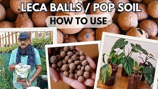 LECA BALLS FOR PLANTS / CLAY BALLS / POP SOIL / HYDROTONS - HOW TO USE LECA BALLS