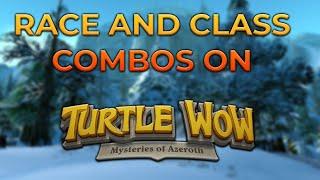 Race And Class Combos On Turtle WoW!