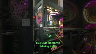 $54 US Dollars Daily Mining Monero! AMD XMR Passive Income $1675 Monthly! Profitability Rising!