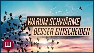 Schwarmintelligenz: Was Tiere uns voraus haben