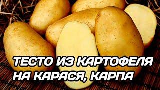 ТЕСТО ДЛЯ РЫБАЛКИ НА КАРАСЯ. КАРТОФЕЛЬНОЕ ТЕСТО НА КАРАСЯ, КАРПА, ПЛОТВУ ОСЕНЬЮ