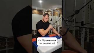 Топ 3 упражнения для новичка ч.2 тгк LaDenny2000 #armwrestling