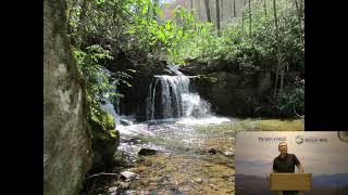 Waterfalls and Landforms of the Smokies and Beyond | Virtual Wilderness Wildlife Wednesdays
