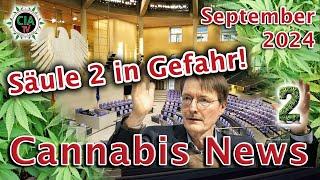 Canna News September 2024 - Deutschland, Österreich, Thailand, Großbritannien, Schottland