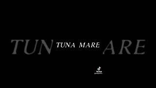 Tuna Mari Entry Year Dil Ma Bhaji Ghanti Year song with taehyung ️#taehyung #bts #reddresses