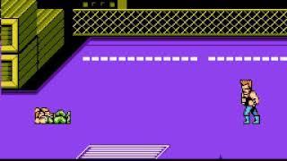 nes double dragon 2 weapon master hack