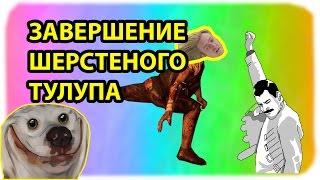 Веселые моменты с Kamatozom [KamatozZz конкурс]