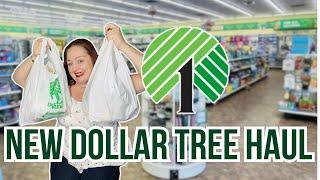 NEW DOLLAR TREE HAUL WITH FAVORITE REPURCHASE FINDS