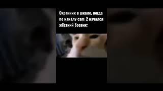 Кот щурится #кот #котщурится #мем #мемы #тикток