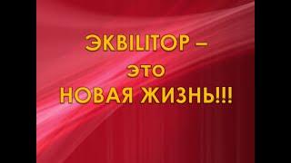 # РЕАЛ 225 Эквилитор. Кто виноват и что делать!? 3