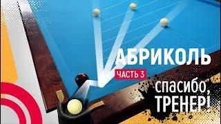 3 ПРИНЦИПА АБРИКОЛЕЙ | Спасибо,Тренер!