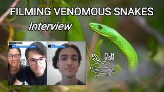 Filming deadly venomous snakes, cobras, mambas, vipers, Living Zoology interview, wild reptiles
