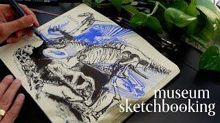 drawing dinosaurs in my sketchbook at the field museum  sketchbook with me