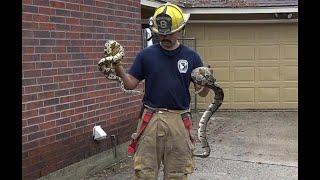 FIREFIGHTERS WILDLIFE RESCUE  TRABAHO NG BFP