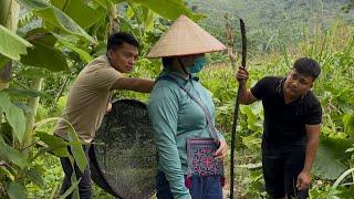 Hung & Đô were worried, anxious, trying their best to find HoaiCa. Will their efforts be rewarded?