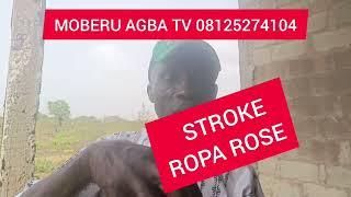STROKE ROPA A ROSE E