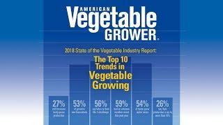 The Top Trends in Vegetable Growing