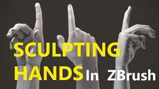 Sculpting Hands In Zbrush Premium Course Trailer