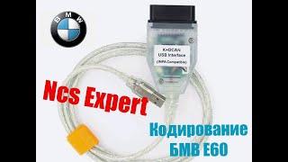 BMW E60 Мануал! Как закодировать на приборную панель вывод скорости!Ncs Expert!