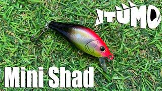 Обзор воблера Itumo Mini Shad (SP) по заказу Fmagazin