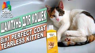 Шампунь для кошек 8в1 Perfect Coat Terless Kitten | Обзор шампуни | 8in1 Cat's Shampoo Review