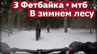 3 Фетбайка и МТБ на шипах! Зимняя покатушка с разговорами