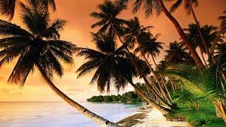 Beautiful Tropical Music & Caribbean Music & Hawaiian Music - Island Paradise 