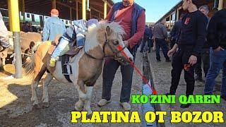 PLATINA OT BOZOR No1. HORSE MARKET! OT BOZOR ZO‘R BO‘LDI NARXLAR ANCHA PASTROQ NAZARIMDA 