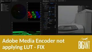 Adobe Media Encoder not applying LUT - FIX. UPDATE:  Please read description below.