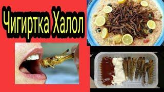 Чигиртка Халол. ШАРИАТДА (جراد حلال)АППЕТИТЛАРИМ ОЧИЛИБ КЕТДИ .