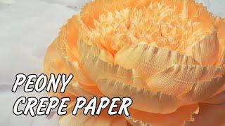 Crepe paper flowers making - Giant paper peony -  paper flower backdrop