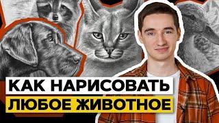 РИСУЮ КОГО ХОЧУ! | Как научиться рисовать любое животное?