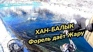 Форель Дает Жару! Спиннинговая рыбалка на Хан-Балыке #Форель#Спиннинг#fish#ХанБалык#Рыбалка#top