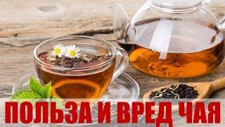 Чай польза и вред