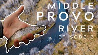 Rating Rivers Episode 6: Middle Provo River (Utah Fly fishing)